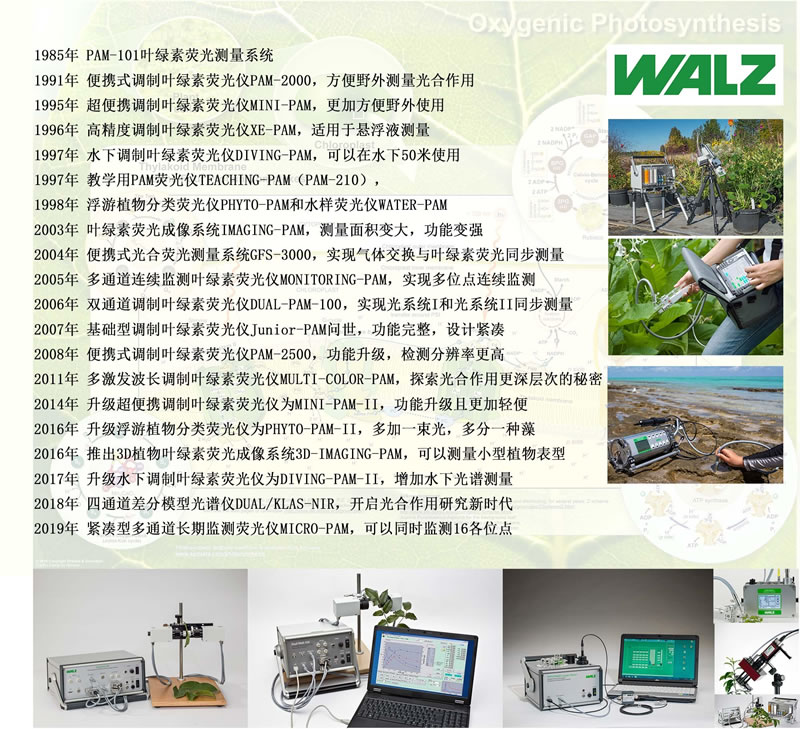 WALZ設(shè)備上市時(shí)間線(xiàn).jpg